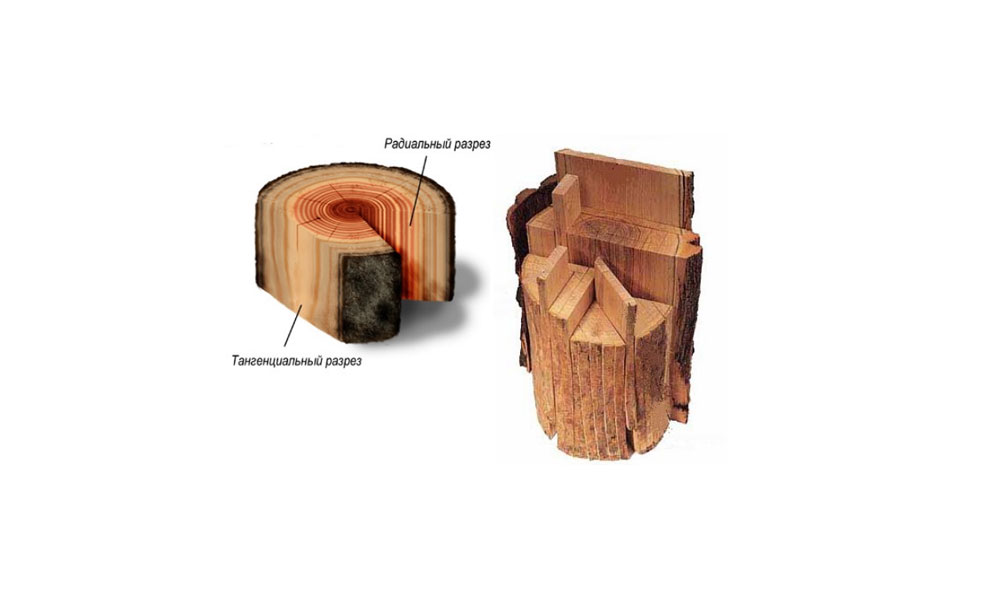 Тангенциальный и радиальный разрез древесины